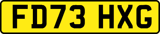 FD73HXG