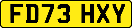 FD73HXY