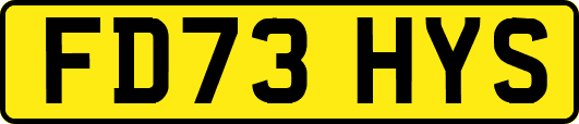 FD73HYS