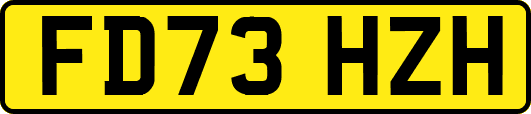 FD73HZH
