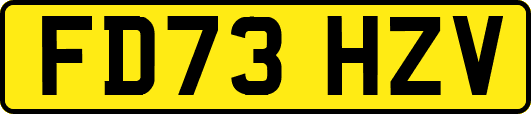 FD73HZV