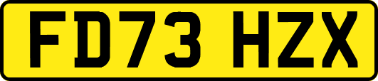 FD73HZX