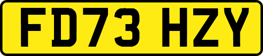 FD73HZY