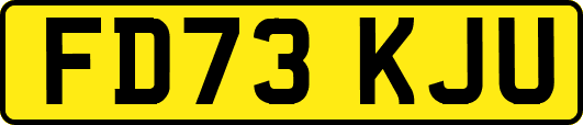 FD73KJU