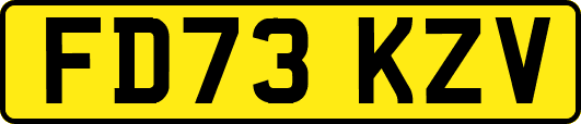 FD73KZV