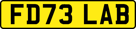 FD73LAB