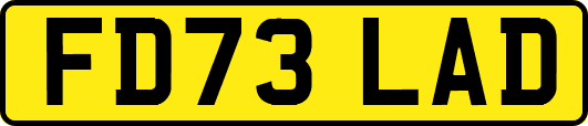 FD73LAD