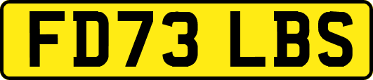 FD73LBS