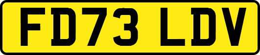 FD73LDV