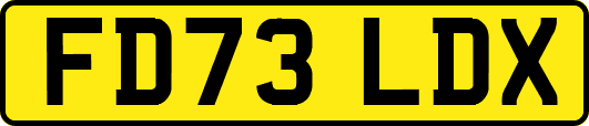 FD73LDX