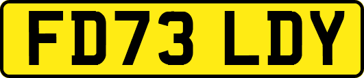 FD73LDY