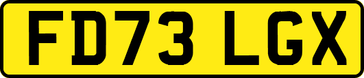 FD73LGX