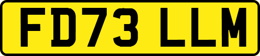 FD73LLM