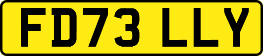 FD73LLY