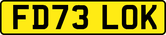 FD73LOK