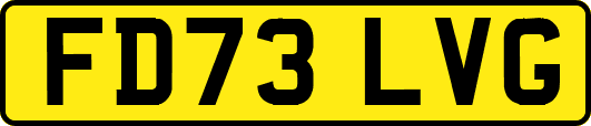 FD73LVG