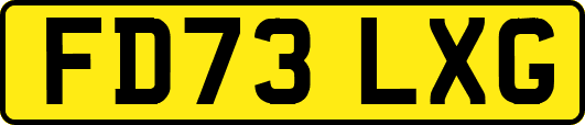 FD73LXG