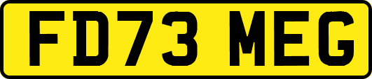 FD73MEG