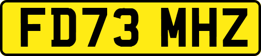 FD73MHZ