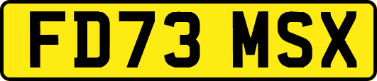 FD73MSX