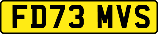FD73MVS