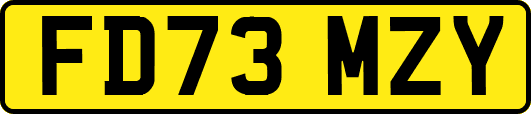 FD73MZY