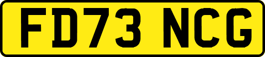 FD73NCG