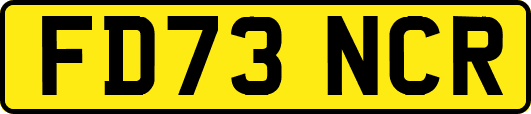 FD73NCR