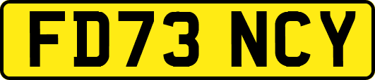 FD73NCY