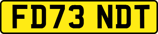 FD73NDT