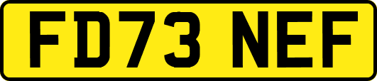 FD73NEF