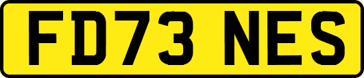 FD73NES
