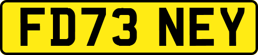 FD73NEY