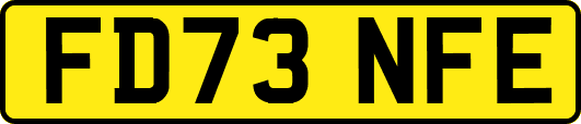 FD73NFE