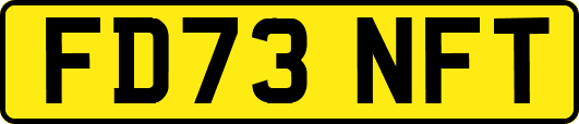 FD73NFT