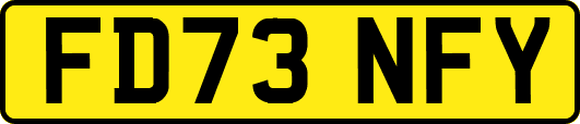 FD73NFY