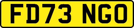 FD73NGO