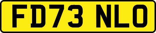 FD73NLO