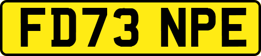 FD73NPE