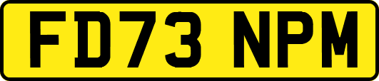 FD73NPM