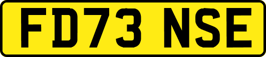 FD73NSE