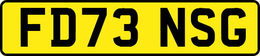 FD73NSG