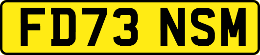 FD73NSM