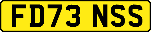 FD73NSS