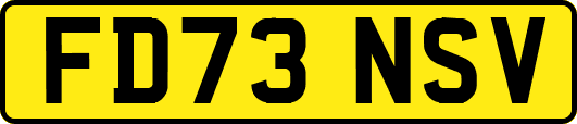 FD73NSV