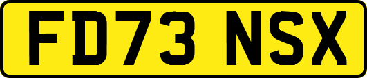 FD73NSX