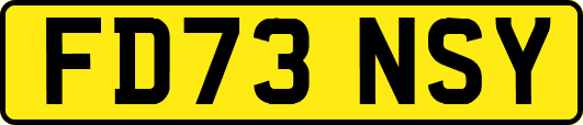 FD73NSY
