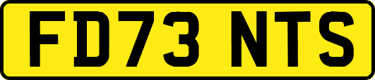FD73NTS