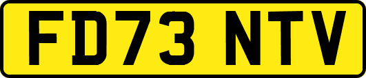 FD73NTV