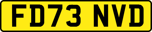 FD73NVD